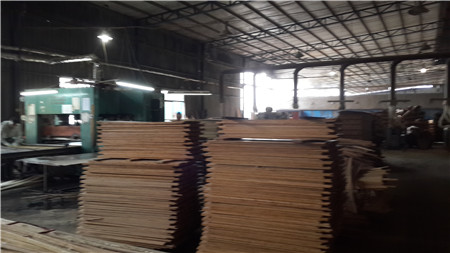 Bamboo Panel Initial Pressing