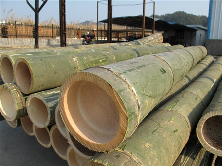 moso bamboo plants for bamboo panel raw material